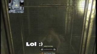 Group 935x | Ascension Monkeys Found in Kowloon