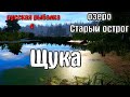Русская рыбалка 4(рр4/rf4) - озеро Старый острог. Щука.