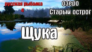 Русская рыбалка 4(рр4/rf4) - озеро Старый острог. Щука.