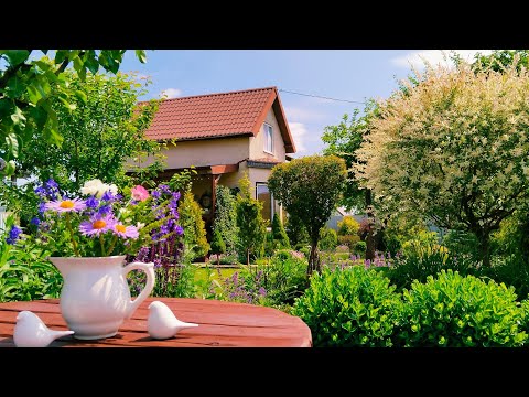Декоративный Огород Своими Руками 💚Грядки с Цветами🌸 Огород в Июне #огород #домвдеревне