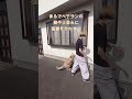 大型犬の攻撃をまるで闘牛士のようにかわすZ世代の新人 #shorts