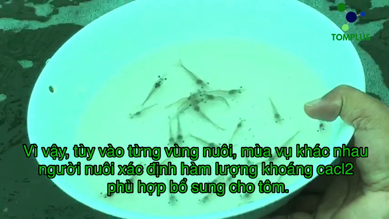 canxi clorua Cacl2 là chất gì? - youtube