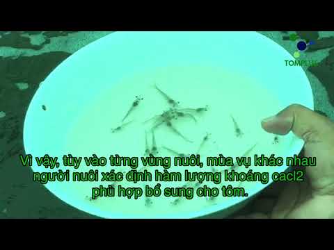 Video canxi clorua Cacl2 là chất gì? - youtube