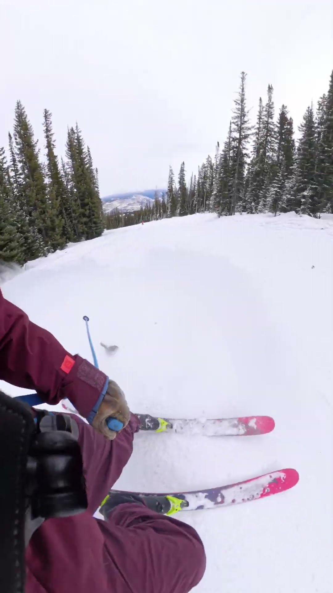 Squirrel Darts Out in Front of Skier || ViralHog