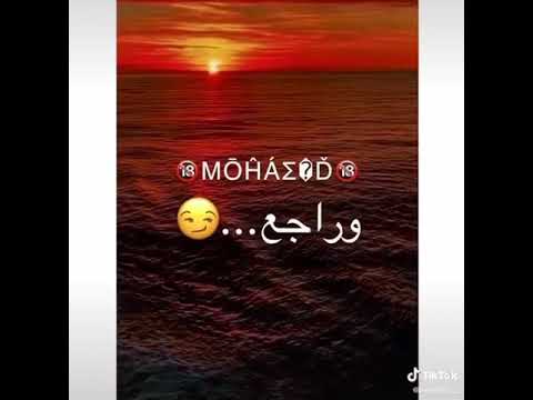 مسلم هتنسوني لكن هبهركوا بالجاديه وراجع اسد في ديوني 