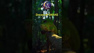 Celebrity Dream of SNAKE – Hidden Meaning Revealed! Wealth