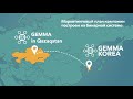 Маркетинг-план корейской компании Gemma