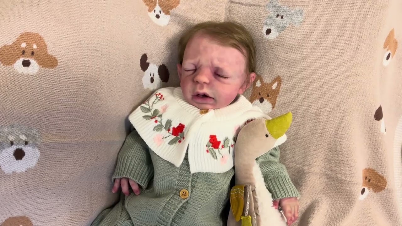 Apollo And My Reborn Silicone Baby #newdollclothes @JayDollsUK 