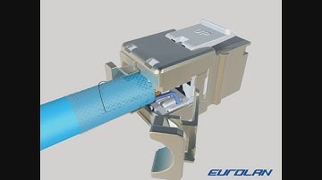 Eurolan C6A shielded Keystone