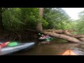 Congaree National Park 7.30.25 with Carolina Outdoor Adventures