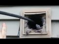 Dryer Vent Cleaning