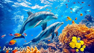 Лечебная Музыка для Снятия Стресса, Усталости, Детокс негативных эмоций
