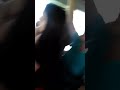 Samar Jouzef سمر يوسف اغاني Samar Jouzef سمر يوسف اغاني