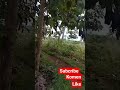 bpjs kesehatan #shortvideo #like #komen #subcribe