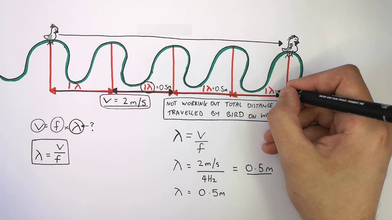 GCSE Physics Wave Speed (v=fλ) Questions and Answers