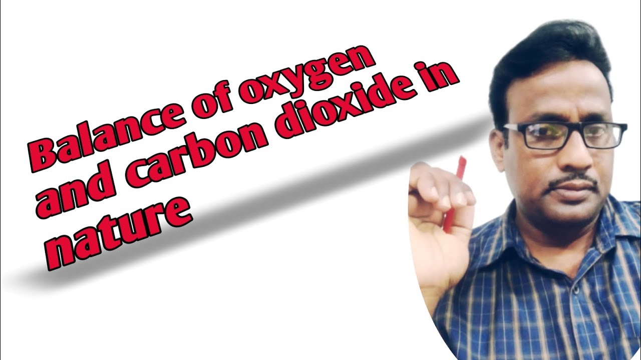 #374 Balance of oxygen and carbon dioxide in nature | Balance of O2 and ...