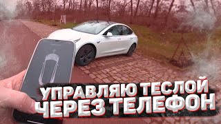 УПРАВЛЯЮ ТЕСЛОЙ Через ТЕЛЕФОН | Tesla model 3