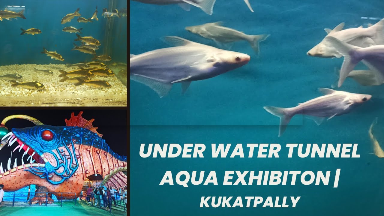 First ever Underwater Tunnel Aquarium expo at Hyderabad🤩| Fish Aquarium Exhibition Kukatpally
