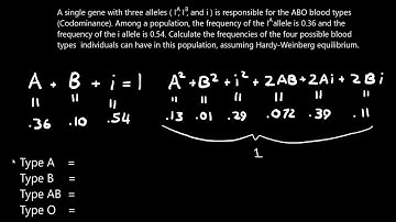 How to Solve Hardy-Weinburg Equilibrium Problems with 3 Alleles