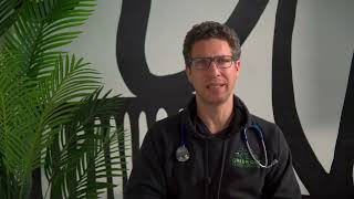 Green Dog Dental Endoscopy With Dr Geist