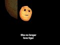 she not longer love tiger