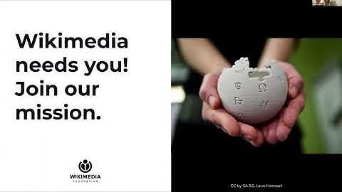 Wikimedia Technology Training 2024 Developers Ecosystem