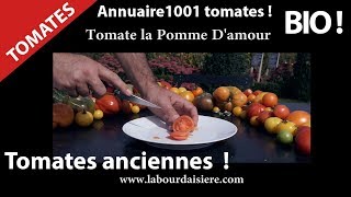 Tomate.13.Couleur .Saveur.Nature.Une liste de fruits magnifiques.Pomme D'amour.Hurryken Production