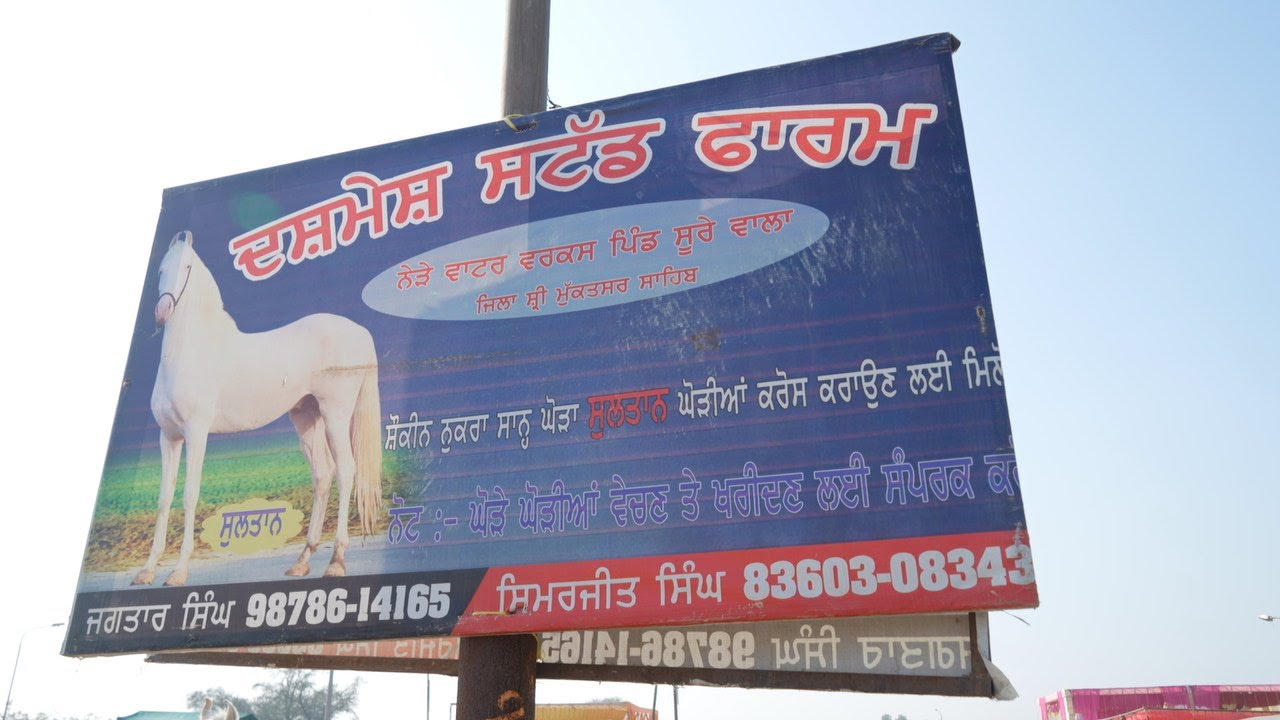 Part 07 Dashmesh StudFarm  83603-08343