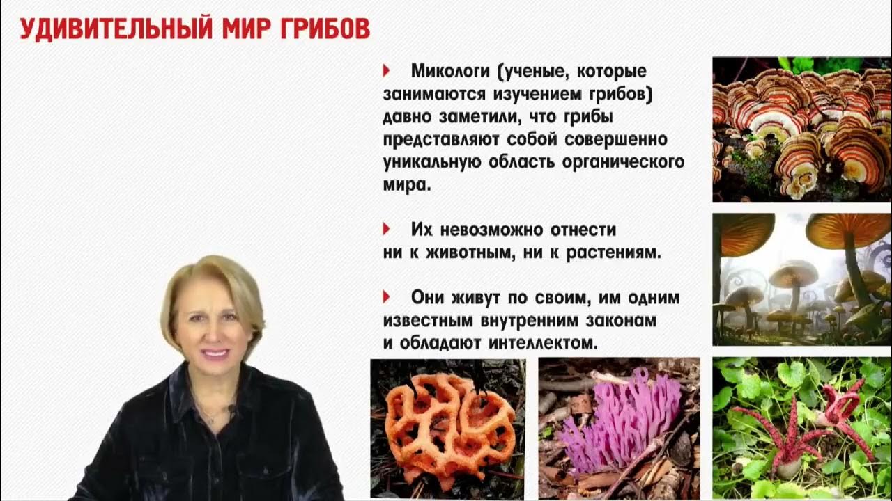 Ольга Бутакова - Грибы, необъявленная война - YouTube