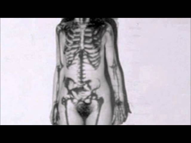 Assista a Holstenwall - Leviathan no YouTube Assista a Holstenwall - Leviathan no YouTube