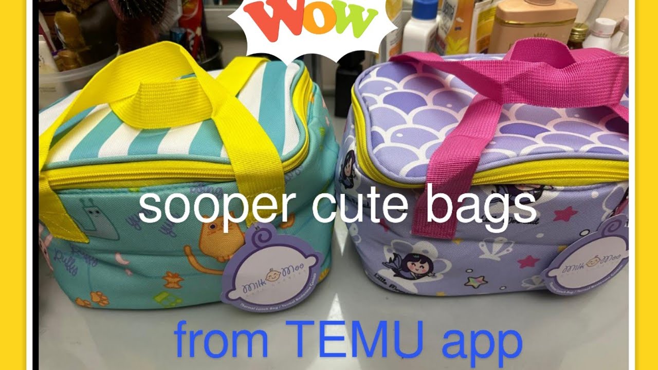 sooper best quality lunch box bags / again ordered from TEMU/ - YouTube