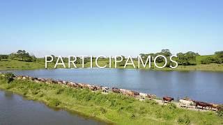 Rancho Loma Alta, Suiz-Bu y Gyr Lechero, Ozu, Veracruz, MX.