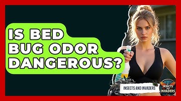 Is Bed Bug Odor Dangerous? - Insects and Invaders
