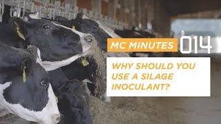 WHY SHOULD YOU USE A SILAGE INOCULANT?  | MC MINUTES 14