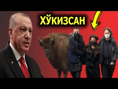 ЭРДОГАНГА ХУКИЗСАН ДЕГАН