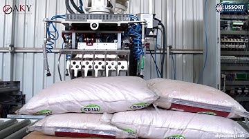 Bag Palletizing and Pallet Stretching Line - AKY Technology