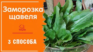 видео: Заморозка щавеля / 3 способа заморозить щавель на зиму / Как нарезать и сохранить зелень в морозилке картинка: Заморозка щавеля / 3 способа заморозить щавель на зиму / Как нарезать и сохранить зелень в морозилке
