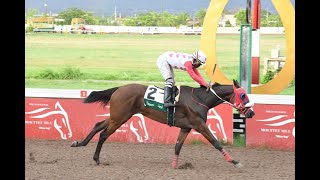 JAMAICA RACING: She’s A Mirage Closes Classic Day Triple For Jason DaCosta (Sat, June 3, 2023)