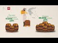 Explainer video: Το παράδοξο της αύξησης της παραγωγής μελιού εν μέσω κλιματικής κρίσης