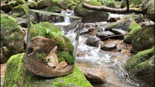 Have you ever made a terrarium in a valley?