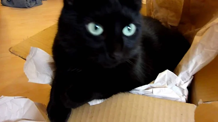 Panasonic Lumix DMC-TZ7 - 1st Test