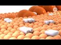 Samsung Logo Balls In Rgb To Bgr Reverse 