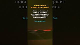 Не принимается молитва без омовения. #хадис #вуду #омовение #молитва