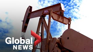 US Congress grills Big Oil execs on climate disinformation Wealth