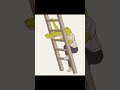 梯子/ladder