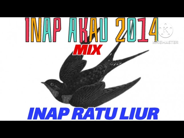 INAP AKAU 2014 MIX INAP RATU LIUR,BY ANDI SUFAR 77,LINK DOWNLOAD DI DISKRIPSI 👉 V class=