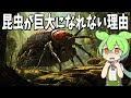なぜ昆虫は巨大になれないのか?【ずんだもん解説】