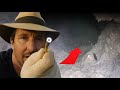 EXPLORER LES TUNNELS D'UNE TAUPE AVEC UN ENDOSCOPE !