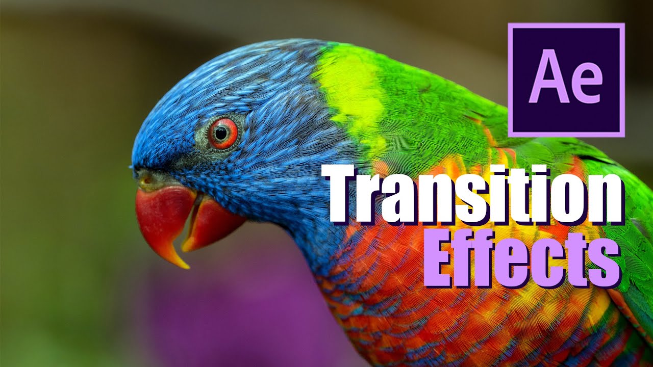 Smooth transition and text animation in the After Effects | Tutorial ...