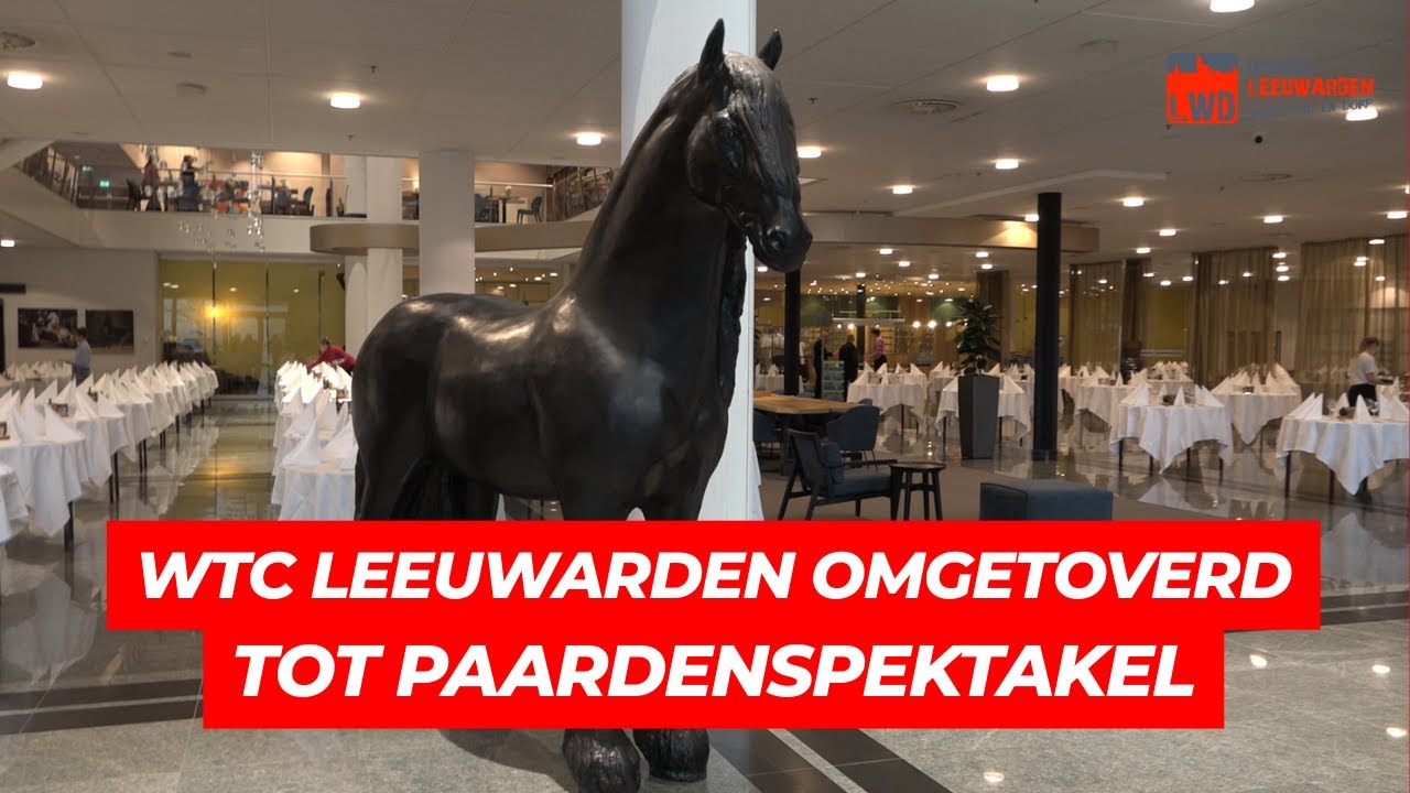 WTC Leeuwarden omgetoverd tot paardenspektakel